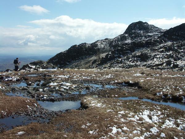 21HarrisonStickle/JPG     