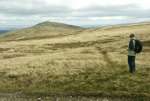 24CarrockFellAPath.jpg    