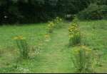 PICT01105.JPG