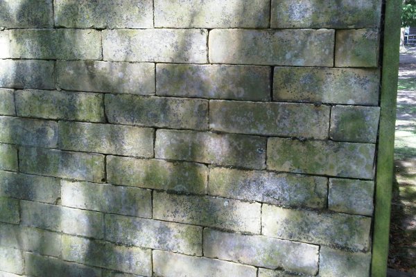 TilfordBrTWall/jpg