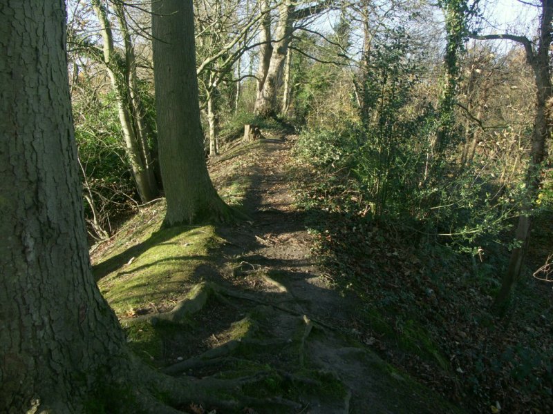 View along the Eastheath bank