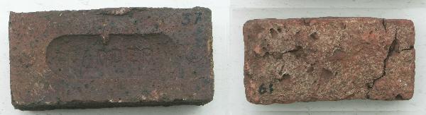 Comparison of shiners