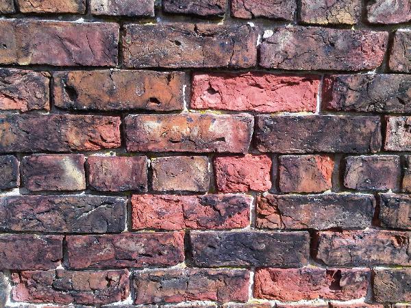 DunhamMGdnWall/jpg 