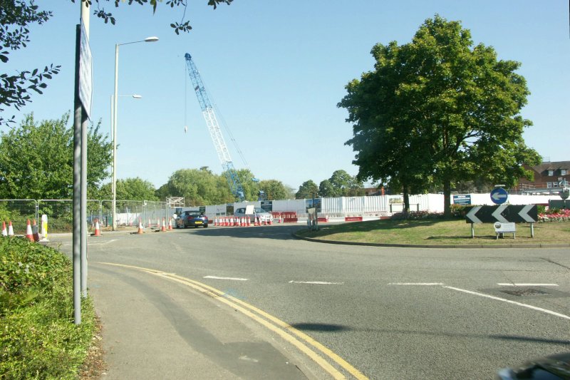 CraneTreeSep18m/jpg