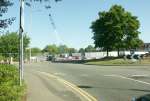 CraneTreeSep18m.jpg