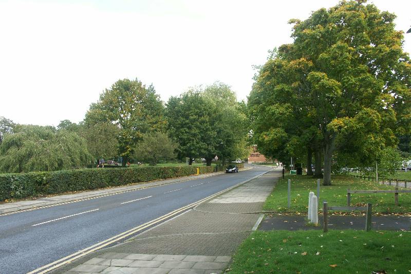 l510/jpg