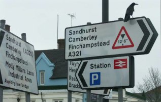 Enlarged signs