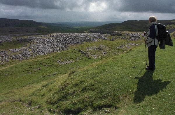 Limestone Pavements