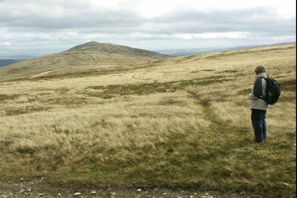 Path on Carrosk Fell