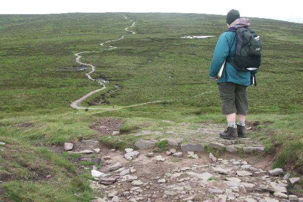 Hatterall Ridge