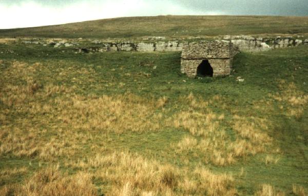 8NrHellghyllBrLimeKiln/jpg