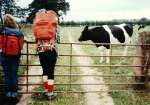 1CulgaithCowSF.jpg