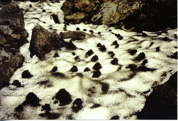 Micro ash cones