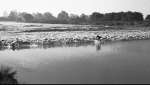 Severn Bore