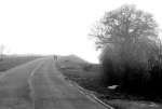 lBinfieldRdBridgeC1975.jpg   