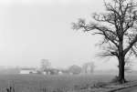 lEasthampsteadRdFarm1975.jpg 