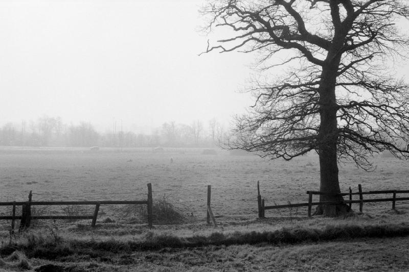 lA329M1975/jpg               