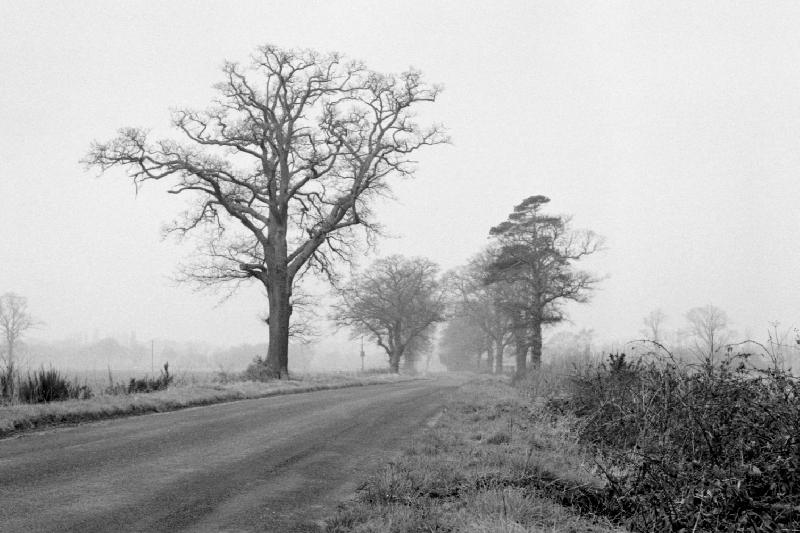 lEasthampsteadRd1975/jpg     
