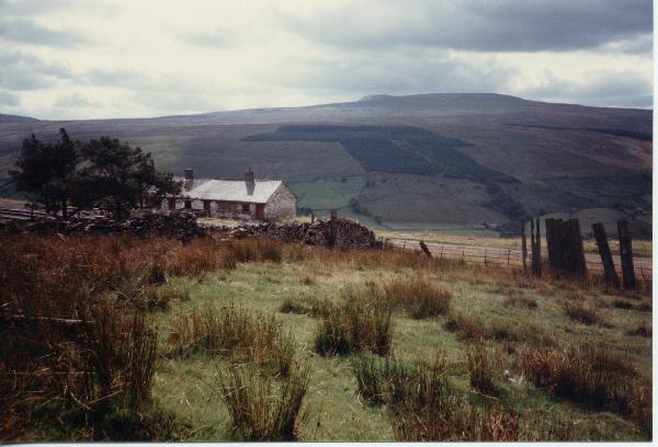 DentSnowHutAug1986/jpg