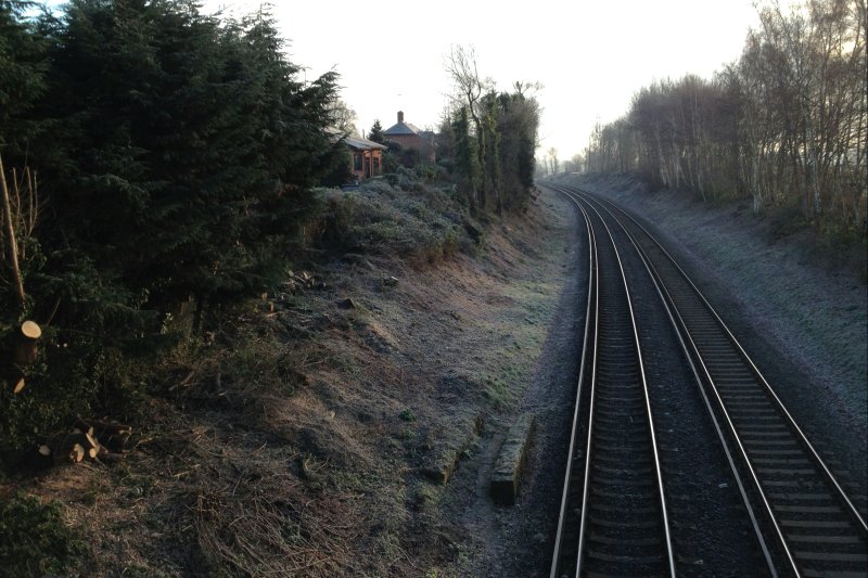 RailwayTreeWk/jpg