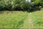 MeadowPathMay16.jpg