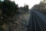 RailwayTreeWk.jpg