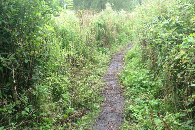 ClearanceStrew17/jpg