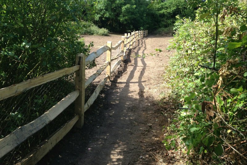 FenceJun17S/jpg