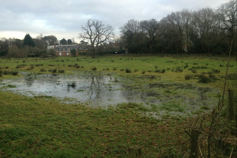 FieldFloodLudgroveDec17/jpg