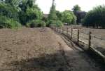 FenceJun17N.jpg