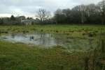 FieldFloodLudgroveDec17.jpg