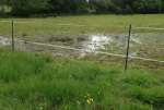FloodingMay17.jpg