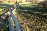 MowingNov17.jpg