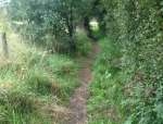 PathTunnel17.jpg
