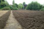 PloughingMay17.jpg