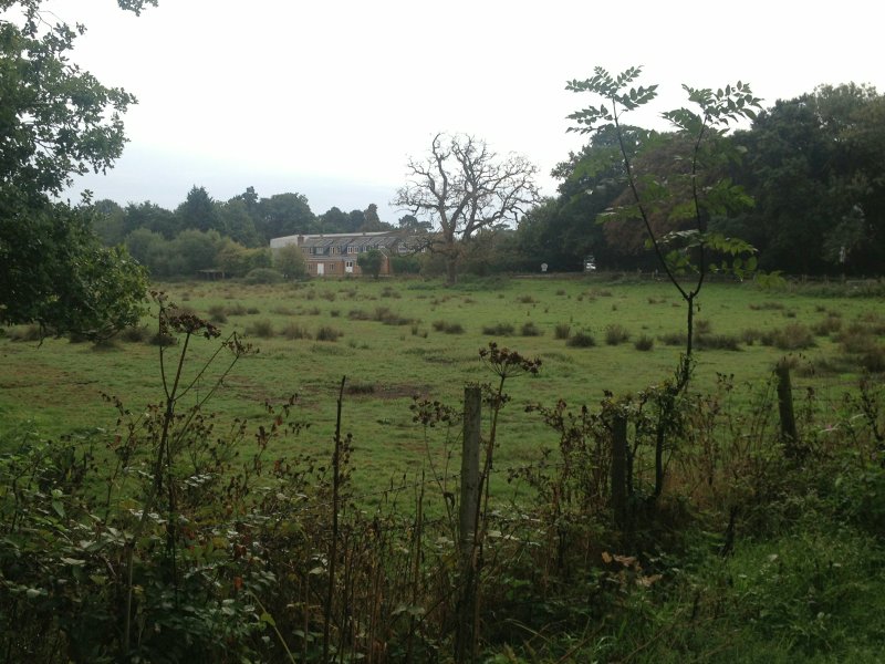 MeadowSchoolAug18/jpg