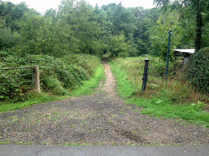 PathGatewayAug18/jpg