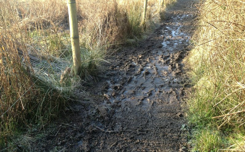 PathMudFeb18/jpg