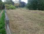 LucasMeadowMowedOct18.jpg