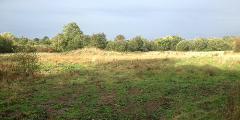 TreesFieldSky1Oct18/jpg