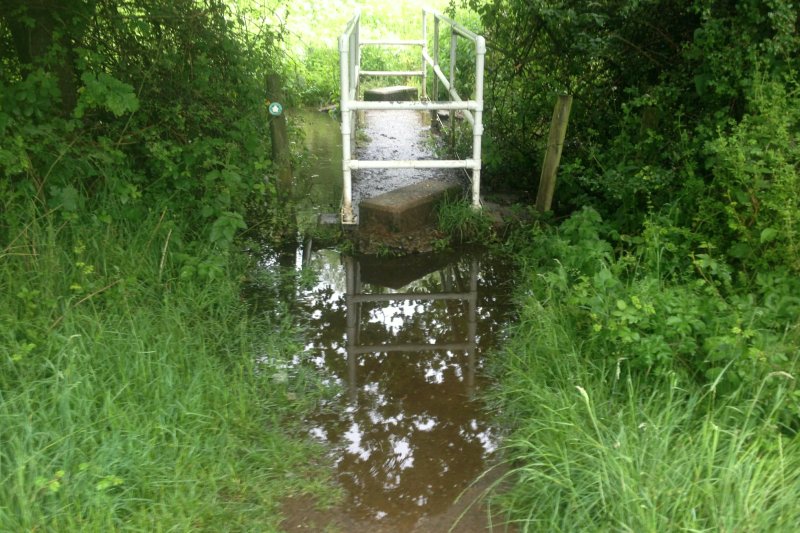 FloodedBridge2Jun19/jpg   