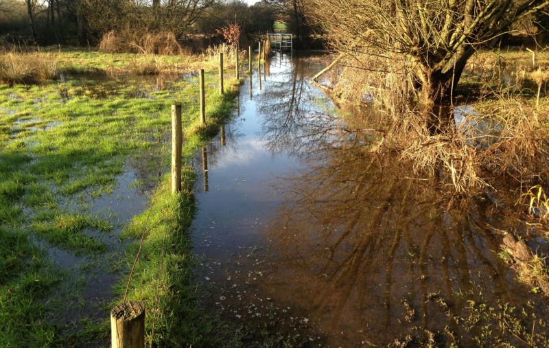 EmmBridge17Jan20a/jpg   