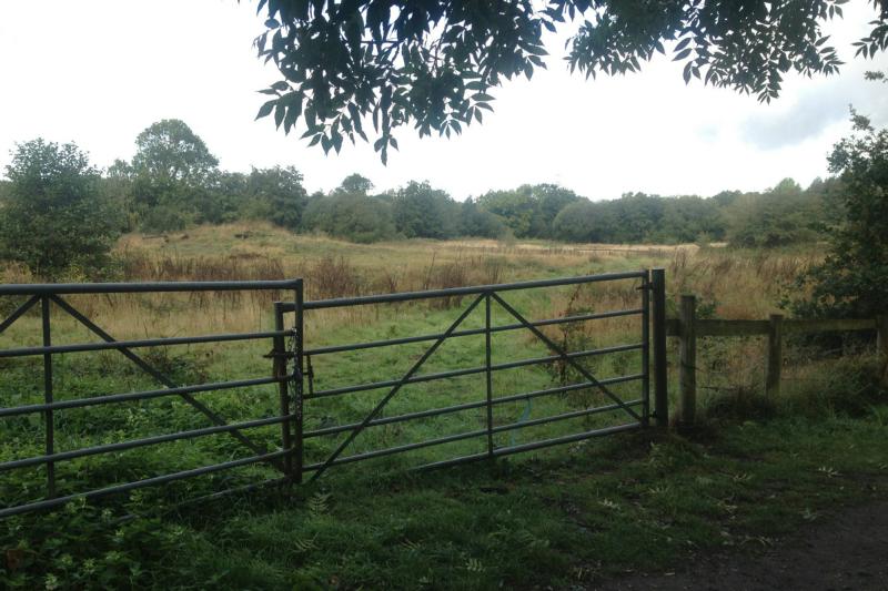 TowardsBridgeSep20/jpg  