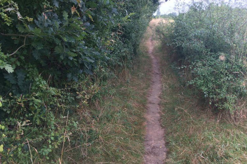 FieldPathAug24/jpg     