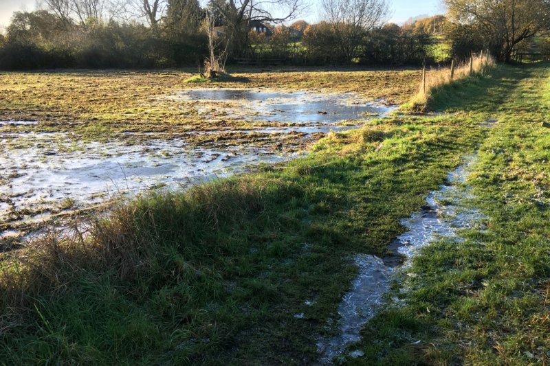 FieldPathIceNov24/jpg  