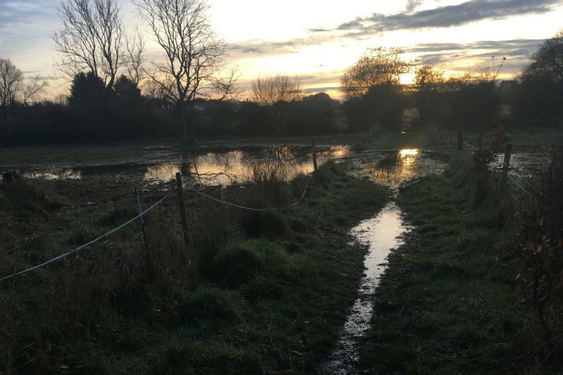 FloodSunsetNov24/jpg   