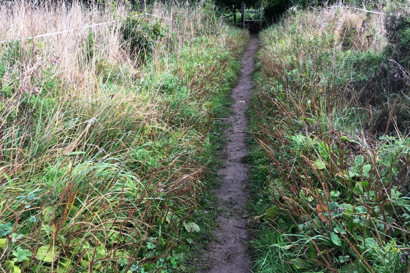 PathNarrowSep23/jpg    