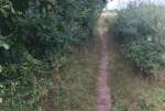 FieldPathAug24.jpg     