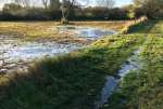 FieldPathIceNov24.jpg  