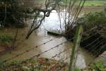 FloodMergeJan23.jpg    